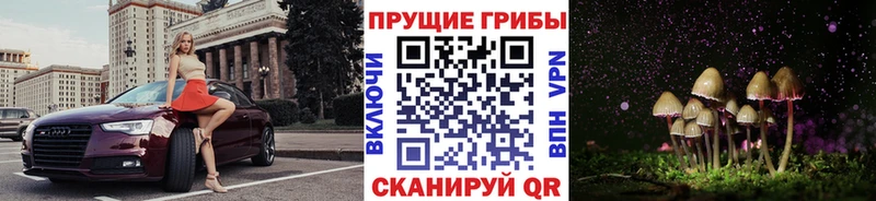 как найти наркотики  Вихоревка  Галлюциногенные грибы мицелий 